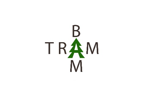 Team Pink – TramBam_1